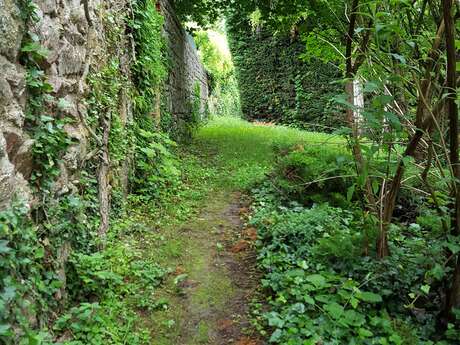 Entre Limagne et Combrailles