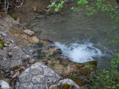 La source de Saint-Lagier