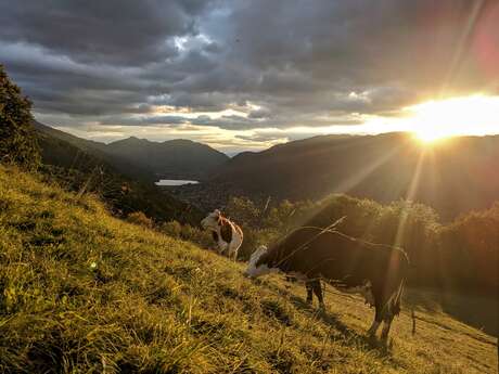 Ferme de la Grangette