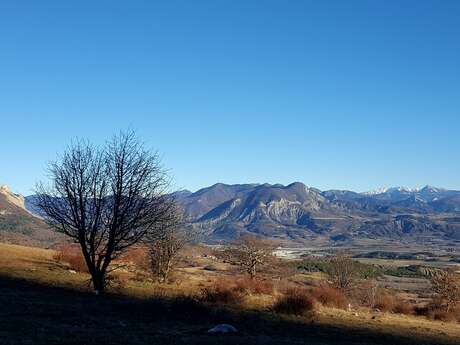 Col de Faye