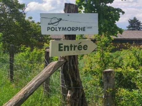 Sortie Nature : Découverte des lichens avec Hérisson Nature