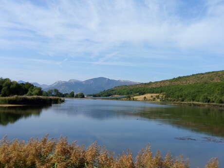 Site de pêche du lac de Mison