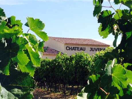 Château Juvenal