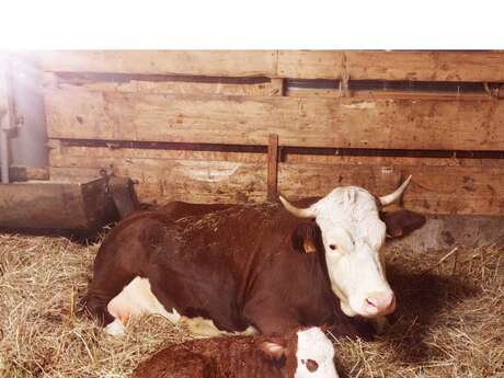 Visita interattiva della fattoria Roches Fleuries