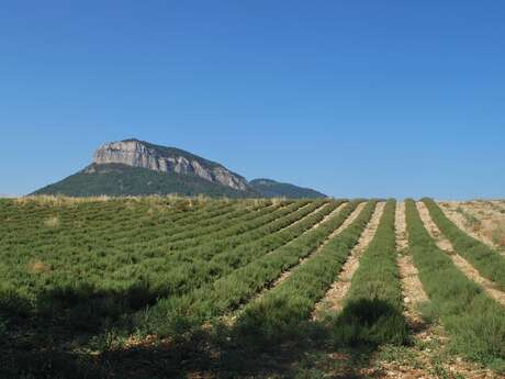 Plateau de Garenne by bike