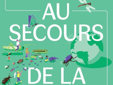 Exposition : Les insectes au secours de la planète