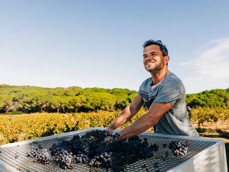 Dégustation des vins d'Edouard Santax