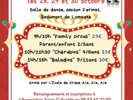 Stage de cirque