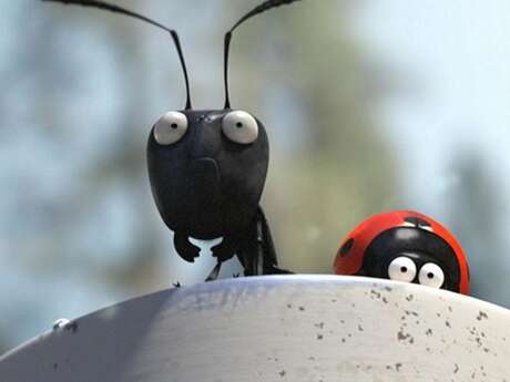 Ciné-Vallouise : "Les Ecrins en minuscule"