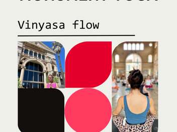 MODELLI DI YOGA: Flusso Vinyasa
