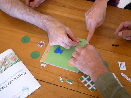 Initiation à la permaculture