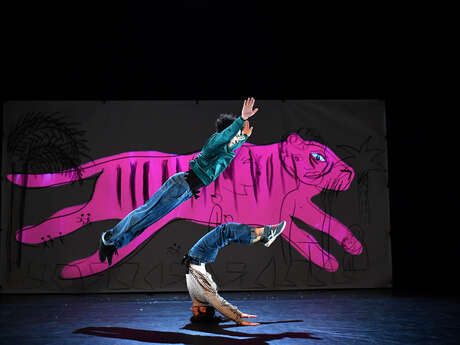 Théâtre et danse : Je suis tigre