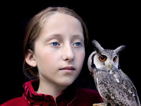 Exposition : Nouvelles acquisitions