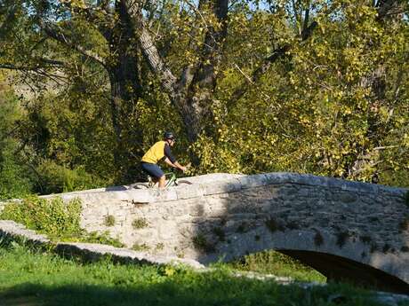 CÉRESTE-EN-LUBERON - À vélo, à l'assaut du plateau de Vachères