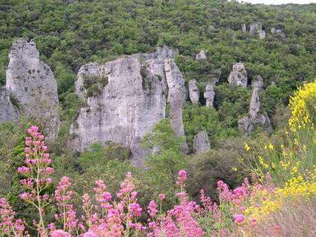 MÉOUNES - Les aiguilles de Valbelle