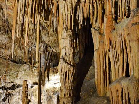 Sortie à la grotte du Bosc et à l'abbaye de Beaulieu-en-Rouergue Sortie à la grotte du Bosc et à l'abbaye de Beaulieu-en-Rouergue