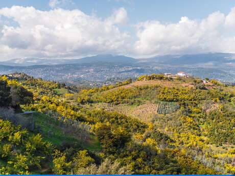 Randonnée : Les Crêtes de Tanneron- PR10