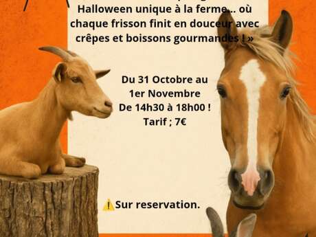 Animations d'Halloween à la ferme