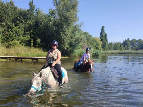 Balade journée à cheval au lac de Mison - Ferme équestre du Grand Bois