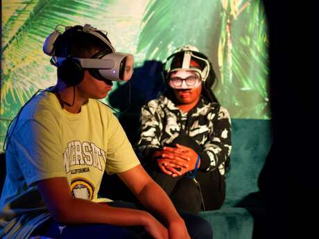 Installation immersive/Réalité virtuelle "Crari or not"