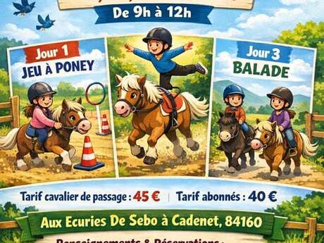 Stages des vacances de Février 2026  aux écuries de Sebo à Cadenet