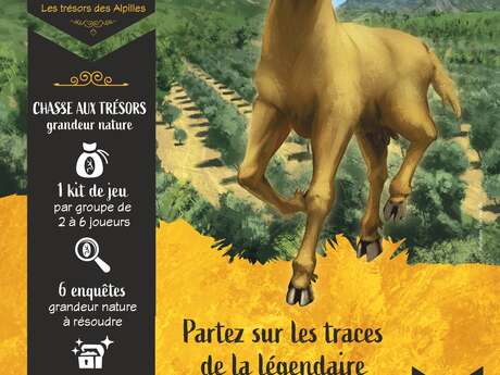 Cabro d’Or, les trésors des Alpilles