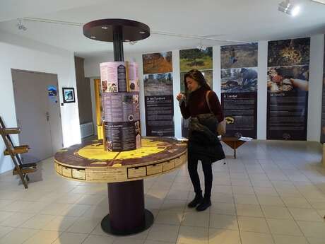 Musée de la Truffe du Ventoux