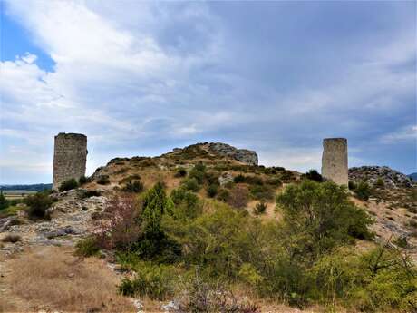 Sortie nature : Les tours de Castillon 'Entre marais et collines"
