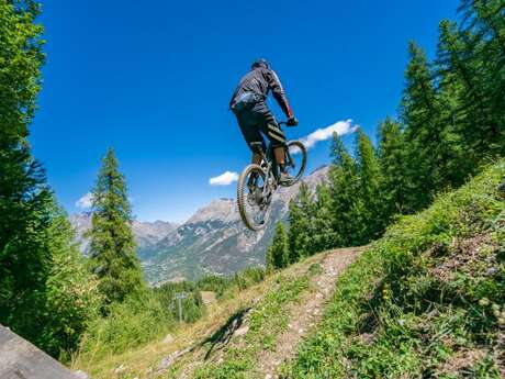 Shape & Ride