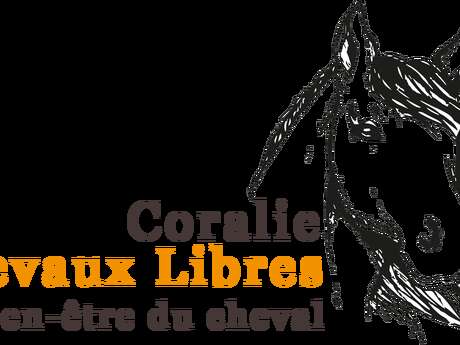 Coralie Physiothérapeute - Chevaux