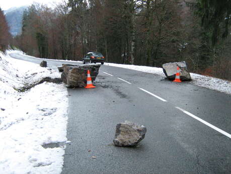 Ateliers à la carte Histoire et SVT au musée
