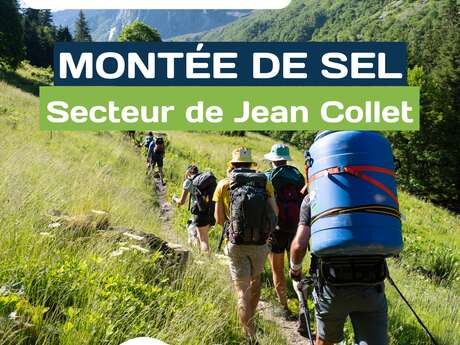 Montée de sel
