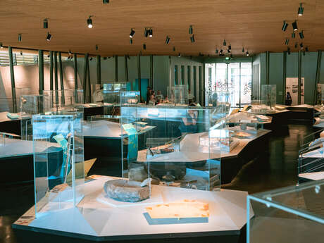 Visites des collections permanentes