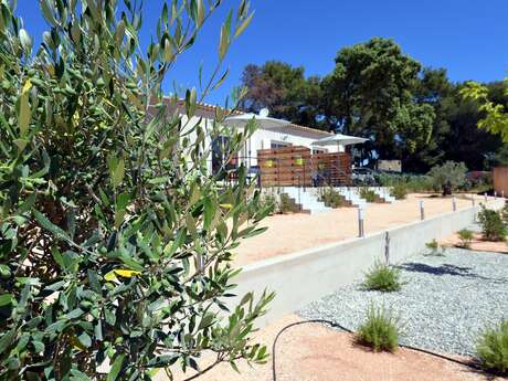 Ferienwohnungen Sous Les Pins - Marron - 45 m² - 4 pers