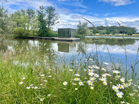 Camping du Domaine des Feuilles