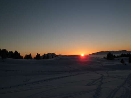 Cross-country skiing by night