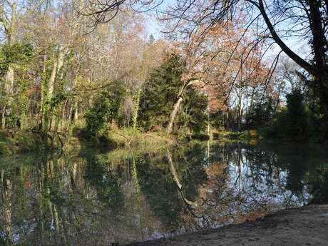 Le parc des Etangs