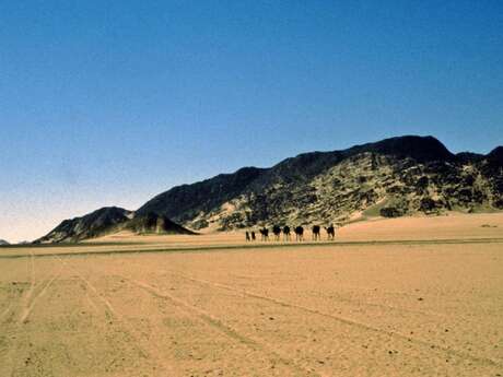 Conférence " Voyage au cœur du Sahara "