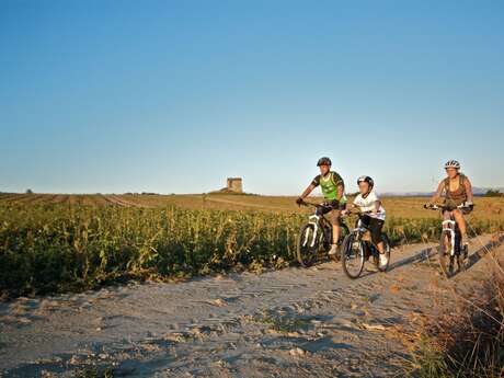 Tour of the Plan des Aires on mountain bike