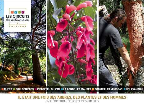 Circuit 3 : Il était une fois des Arbres des Plantes et des Hommes