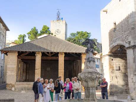 Visite Guidée - Découverte du centre historique