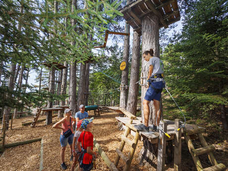 Tree climbing : Beginner’s level