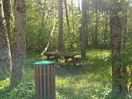 Aire de pique-nique à proximité de Selonnet