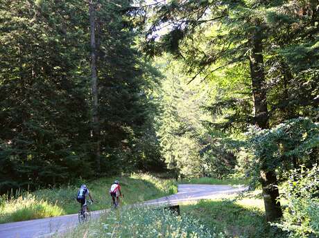 Col de Chamrousse