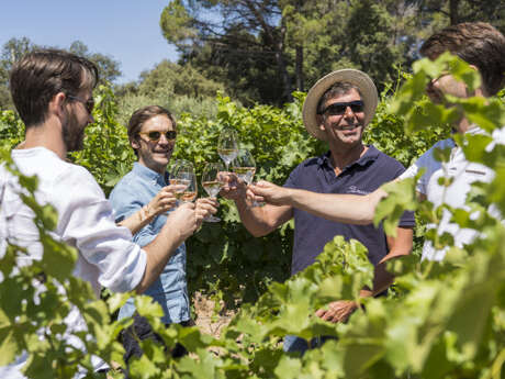 Wine Tour in Cezanne Countryside