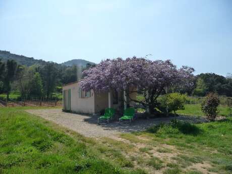 Gîte "Le Cabanon des Vignes"