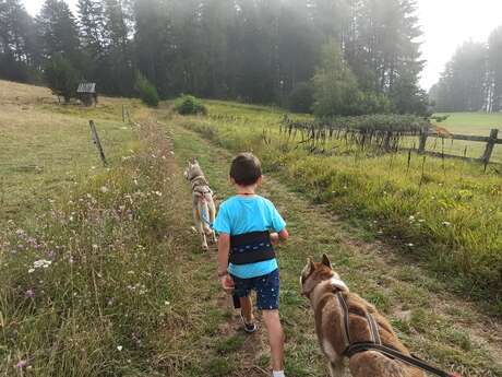 Petit aventurier
