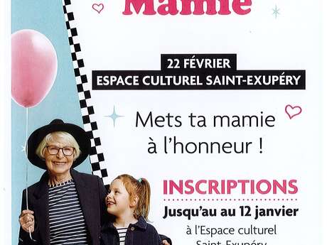 Inscriptions au concours de la merveilleuse Mamie