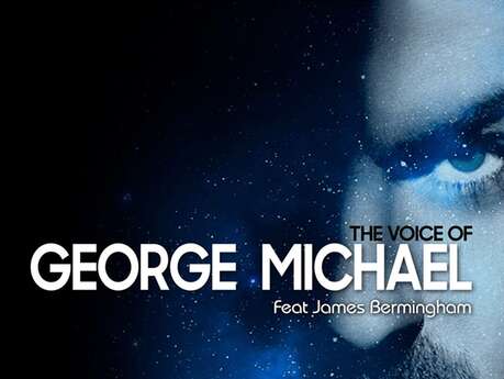 The Voice of George Michael