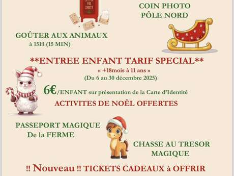 La magie de Noël à la Ferme d'Idefix